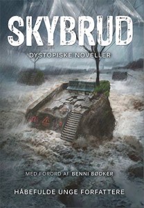 Skybrud1